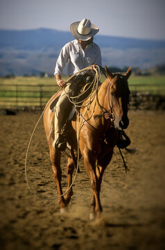 Cowgirl on horse, Colorado, USA.