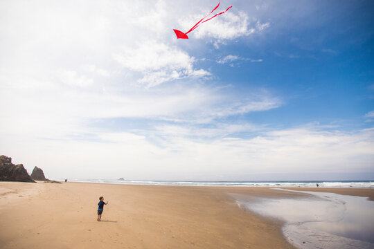 Little boy flies a kite on the beach