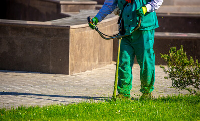 A worker mows the lawn with a manual lawn mower on the streets of the city. Mowing garden meadow...