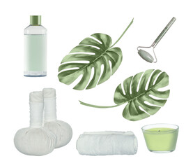 Green spa and wellness set with cosmetic and massage equipment, isolated
