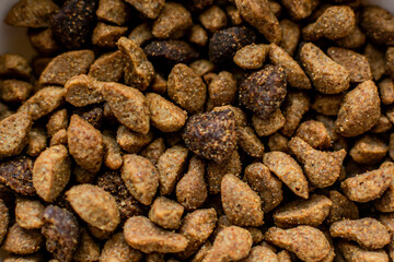 dry pet food macro photo