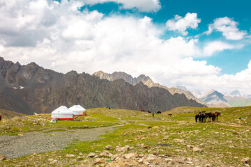 Harnessed horses stand in the mountains, waiting for tourists for a horseback ride. Hiking...