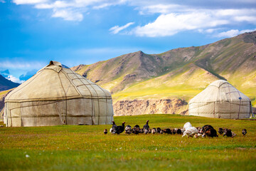 Yurt. National old house of the peoples of Kyrgyzstan and Asian countries. national housing. Yurts...