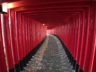 どこまでも続く鳥居