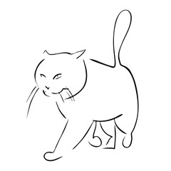 Walking cat portrait drawn in ink, vector illustration, quick sketch, line art