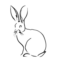 Rabbit portrait drawn in ink, vector illustration, quick sketch, line art