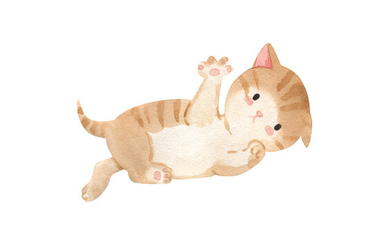 Watercolor cat illustration for kids