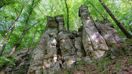 Müllerthal