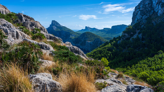 Mirador de Es Colomer