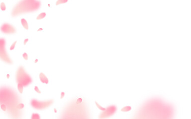 Cherry blossom petals blowing in the wind on a transparent background. Cherry blossom season, spring. - obrazy, fototapety, plakaty