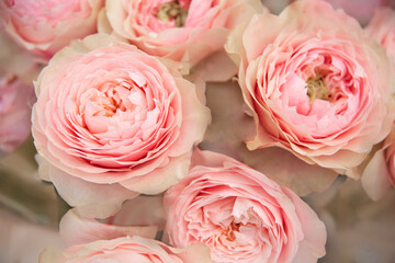 Floral background of delicate flowers for bridal wedding bouquet - pink David Austin Roses.