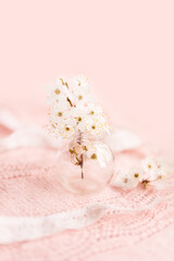 Spring background with a beautiful pink flowering branch. Pastel pink background, delicate flowers bloom.	