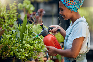 Water, plants or happy black woman gardening in small business store for healthy leaf or organic...