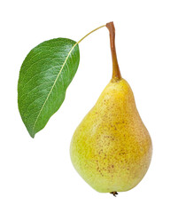 Fruit. Yellow pear with green leaf isolated. png transparent