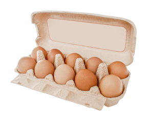 Carton box with eggs isolated. Animal egg. png transparent