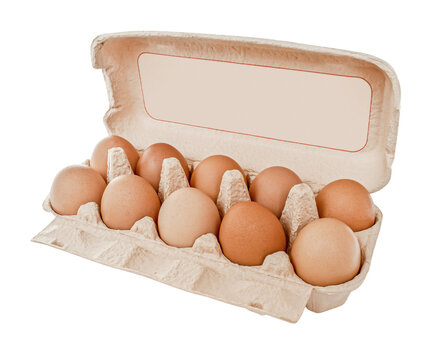 Carton box with eggs isolated. Animal egg. png transparent