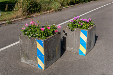 Typical European concrete flowerbed with beautiful multicolored flowers outdoors