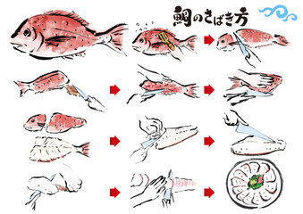 鯛のさばき方　魚をさばく手順　手描き和風イラストセット - obrazy, fototapety, plakaty