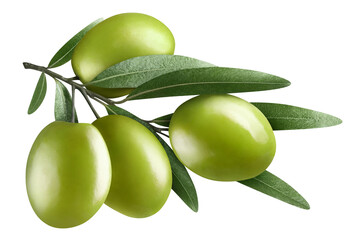 Olive branch with delicious green olives, isolated on white background