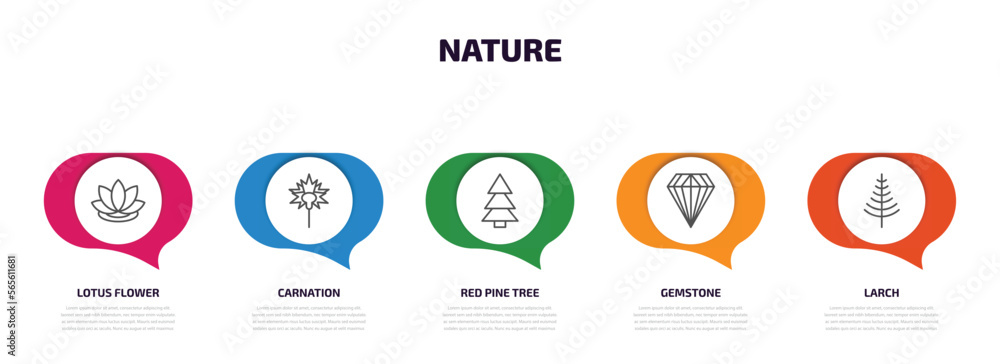 Poster nature infographic element with outline icons and 5 step or option. nature icons such as lotus flowe