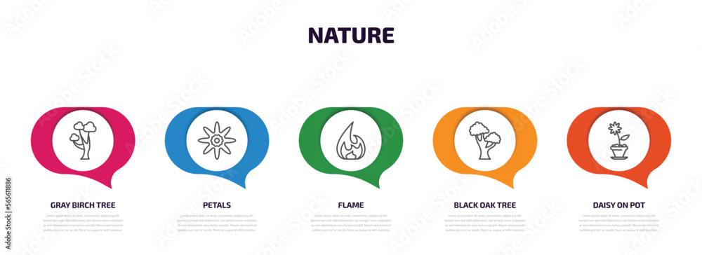 Poster nature infographic element with outline icons and 5 step or option. nature icons such as gray birch 