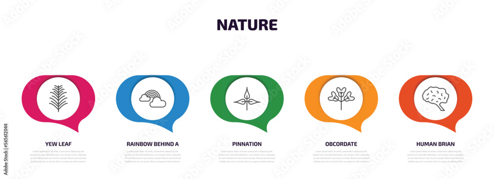 Poster nature infographic element with outline icons and 5 step or option. nature icons such as yew leaf, r