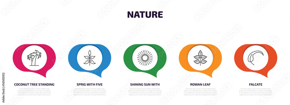 Poster nature infographic element with outline icons and 5 step or option. nature icons such as coconut tre