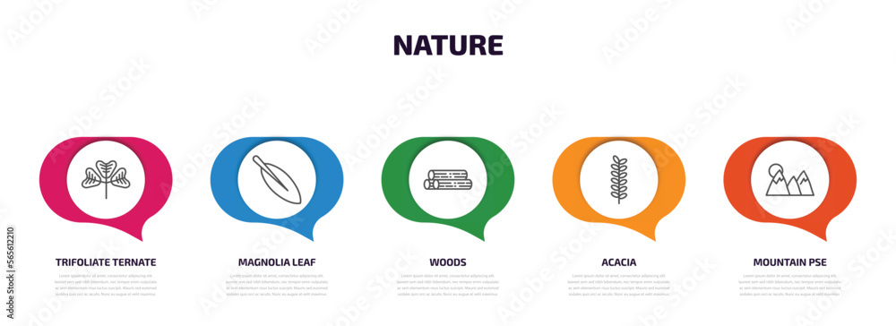 Poster nature infographic element with outline icons and 5 step or option. nature icons such as trifoliate 