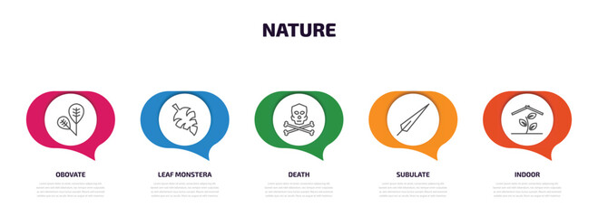 nature infographic element with outline icons and 5 step or option. nature icons such as obovate, leaf monstera, death, subulate, indoor vector.