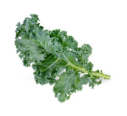 Fototapeta premium Fresh kale with water drops isolated on transparent background (.PNG)