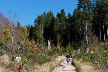 Obraz premium Deutschland - Baden-Württemberg - Schluchseer Jägersteig