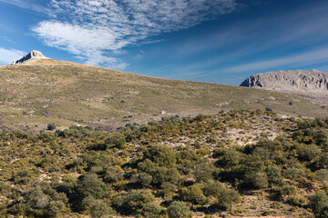 View of the mountains and forests of the Sierra de Huétor natural park in Granada (Spain) on a cold winter morning