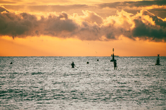 Silhouette of people doing stand up paddle at sunrise