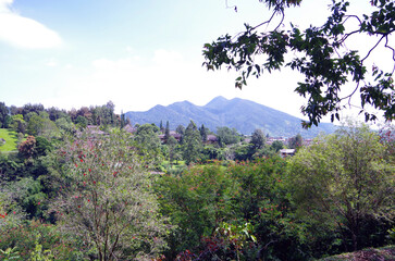 Botanical Gardens with views of Mount Gede Pangrango