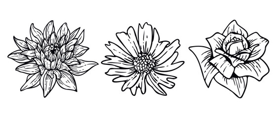 Collection of Hand drawn line art flowers illustration isolated on white background