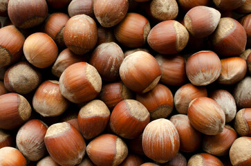 Hazelnut, photo. Hazelnut background, texture, top view. Hazelnut close-up, top view. Hazelnut food background, texture, top view.