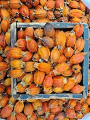 Dried Gardenia fruit in the traditional wooden measuring bowl at Korean market - In Korean culture gardenia's deep orange color is used as a material for food coloring, cloth dyeing etc.