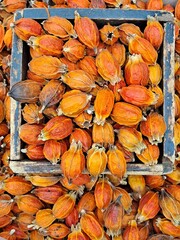 Dried Gardenia fruit in the traditional wooden measuring bowl at Korean market - In Korean culture gardenia's deep orange color is used as a material for food coloring, cloth dyeing etc.
