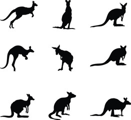 A vector collection of kangaroos for artwork compositions