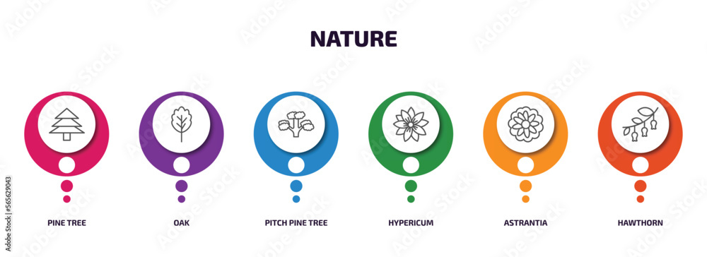 Poster nature infographic element with outline icons and 6 step or option. nature icons such as pine tree, 