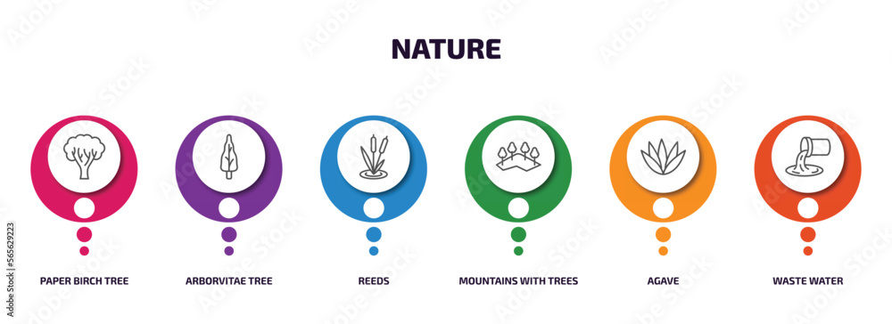 Poster nature infographic element with outline icons and 6 step or option. nature icons such as paper birch
