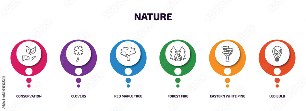 Poster nature infographic element with outline icons and 6 step or option. nature icons such as conservatio