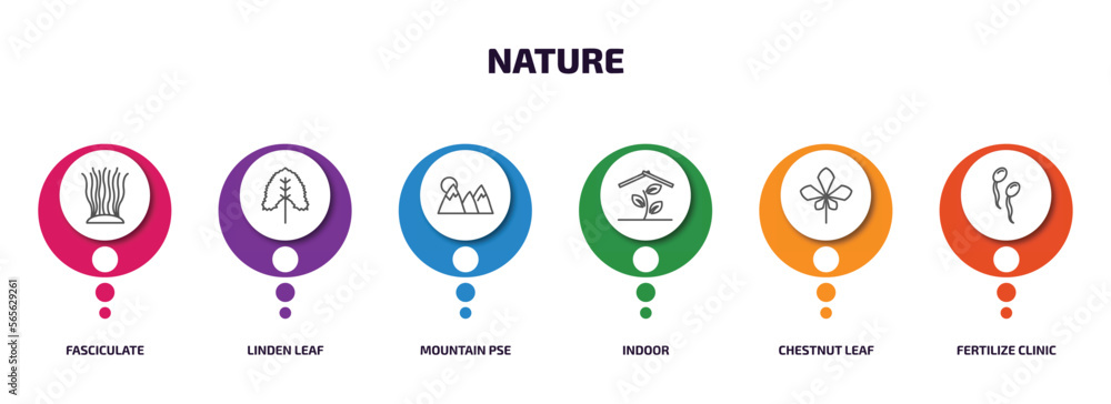 Poster nature infographic element with outline icons and 6 step or option. nature icons such as fasciculate