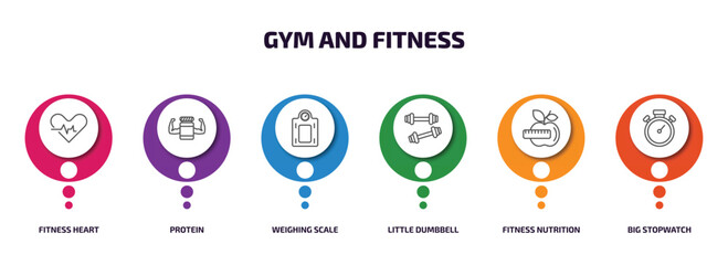 gym and fitness infographic element with outline icons and 6 step or option. gym and fitness icons such as fitness heart, protein, weighing scale, little dumbbell, nutrition, big stopwatch vector.