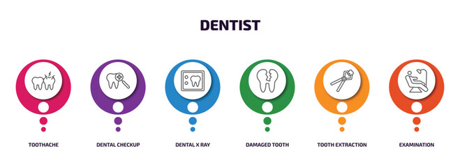 dentist infographic element with outline icons and 6 step or option. dentist icons such as toothache, dental checkup, dental x ray, damaged tooth, tooth extraction, examination vector.