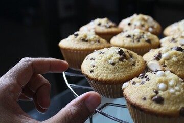 Picking one Muffin