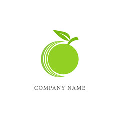 melon vector. melon on white background. logo design.