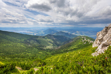 Fototapeta premium landscape in the summer, slovakia