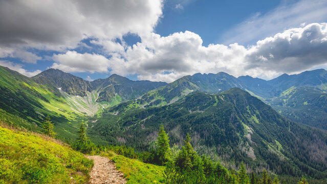 landscape in mountains during summer