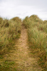 Path to Glassilaun Beach in Connemara, Ireland